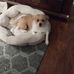 Walter Freeman - Facebook
