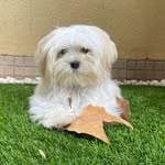 Wally González - @donde_esta_wally - Instagram