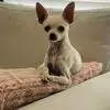 Wally González - @wally.gonzlez2 - TikTok