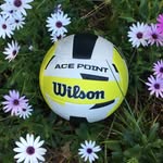 Wally Hall - @wallyhallthevolleyball - Instagram