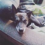 wally hammer - @hammer.wally - Instagram