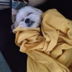 Wally Harrison - @wallyisawesome - Instagram