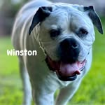 Wally Harrison - @harrison.wally - Instagram