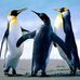 Willi Holtermann - Facebook