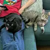 Wally & Luna Hunt - @wally_and_luna - TikTok