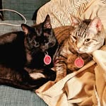 Wally and Luna Hunt - @wallycat_n_lunabug - Instagram