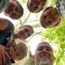 Wally Hunt - Facebook