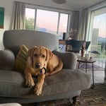 Jane Pankhurst - @wallypankhurst - Instagram