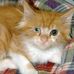 Wally Jackson - Facebook