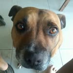 Wally James Jacobson - @wally_james_jacobson1 - Instagram