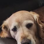 Wally Jensen - @joejensenjoejensen - Instagram