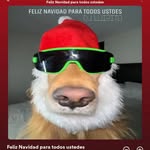 Wally Ramos - @wallyramos9441 - Instagram