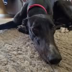 Wally Reed - @wally.reed.3990 - Instagram
