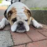 Walter Reed - @wallyreed10 - Instagram