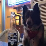Wally Scott - @wally.scott.102 - Instagram