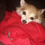 Wally Skinner - @wally.skinner.54 - Instagram