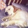 Ollie][Wally][Wencze - @ollie_cutie.101 - TikTok