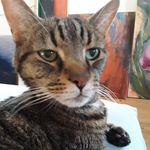Wally - @wally_went_to_nam - Instagram