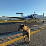 Wally 🐾 - @wally.world7 - Instagram