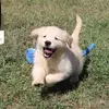 Wally’s World - @wallys_world__ - TikTok