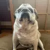 wallyworld755 - @wallyworld755 - TikTok