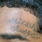 Wallyworld - @fuzkgang.wally.world - Instagram