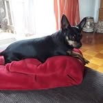 Walter Altmann - @walter.altmann.754 - Instagram