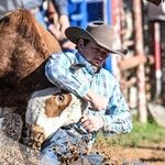 Walt Arnold - @walt_arnold - Instagram