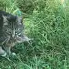 Walter Bailey.  walt - @walter.bailey..wa - TikTok