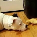 Walter Baker - @baker.walter - Instagram