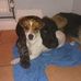 Walt Bell - Facebook