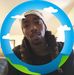 Walter Bell - Facebook