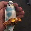 Walt_AKA_Heisenbird - @walt_aka_heisenbird - TikTok