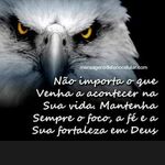 Walter Borges - @walter.borges - Instagram