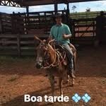Walter Christensen - @walterchristensen31 - Instagram