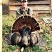 Walt Clark - Facebook
