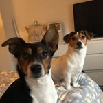 Walt & Roy Cook - @waltandroycook - Instagram