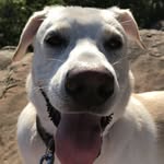 Walt Cooper - @waltandaudrey - Instagram