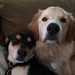 Walter & Cooper - @waltandcoop - Instagram