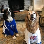 Walter and Cooper - @waltcoopdawg - Instagram
