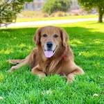 Walter B. Cooper - @walterbcooper - Instagram