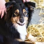 Walt Davis - @walt.davis46 - Instagram
