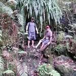 Walt Davis - @walt3464 - Instagram