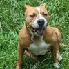 Walt Devine - @walt.devine - TikTok