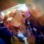 walter fox - @walter.fox2914 - Instagram