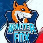 Walter Fox Доставка Роллы - @walterfoxsarapul - Instagram