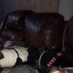 Walt Graham - @walt3884 - Instagram
