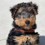 Walter Graham - @mr.walter.graham - Instagram