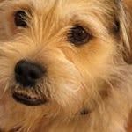 Walter Grayson Horwitz-McCarty - @horwitzmccarty - Instagram