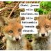 Walter Humble Guy - Facebook